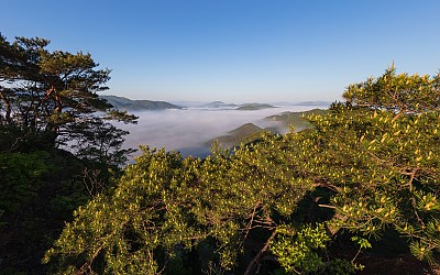 풍경.