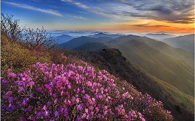 가지산