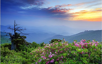 함백산 지킴이~!!