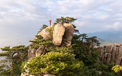 만남의 향기.