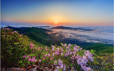 가지산이어라 !!