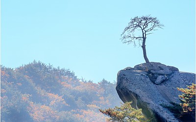 嗚呼痛哉라 !!