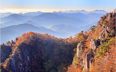 秋景秋色