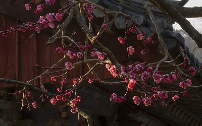 양산 통도사에서
