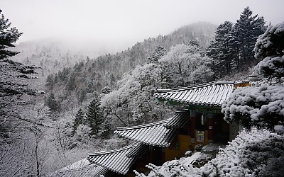 오대산자락에서