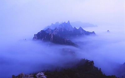 신선대에서.