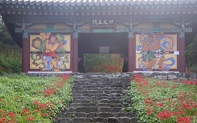 용천사에서2