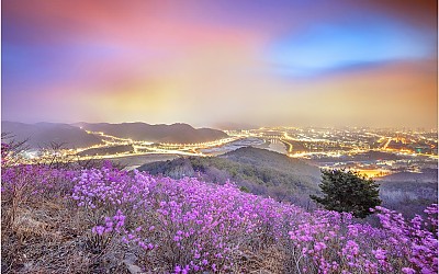 와룡산