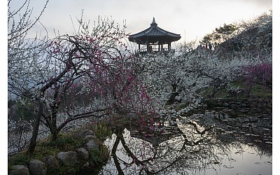 봄이왔네요!!!