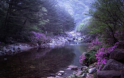 뱀사골