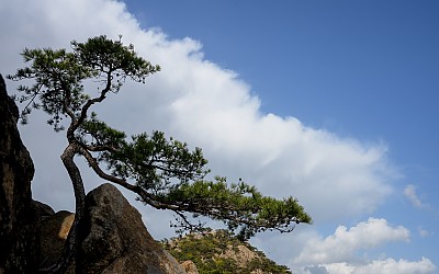 관악산에서!