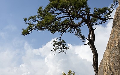 관악산에서!!!