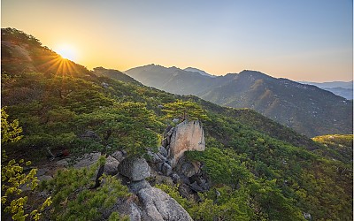 작은동산 외솔봉