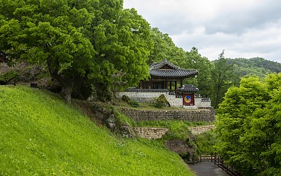 新綠1