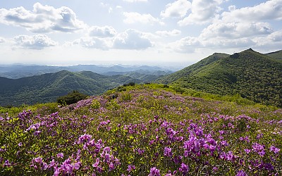 안양산