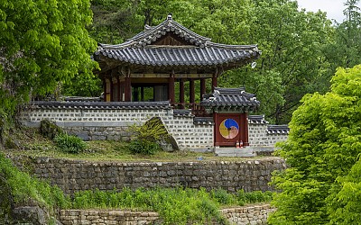 新綠2