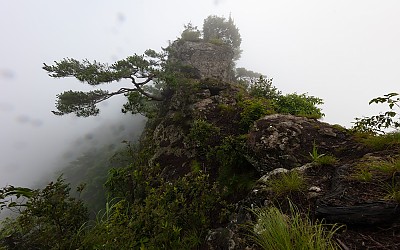 안개비가 오던 날.