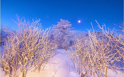 달빛 산행