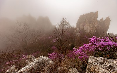 주작산.