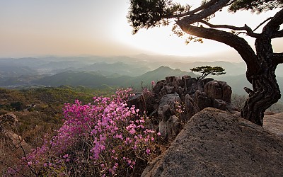 대둔산.