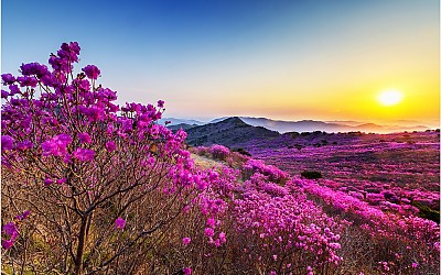 琵瑟山