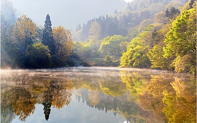 세량지의 봄