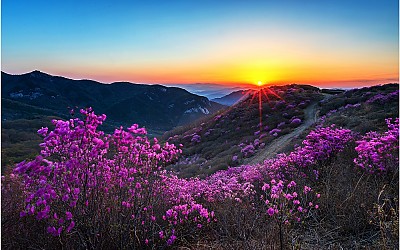 황매산 일출