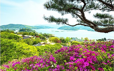 문의문화마을단지에서~
