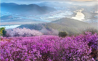와룡산