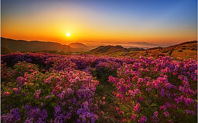 황매산 아침~!!