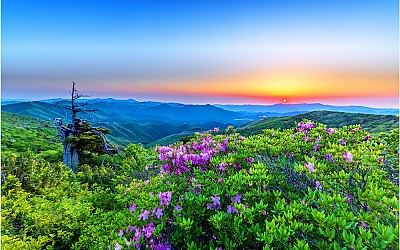 함백산~!!