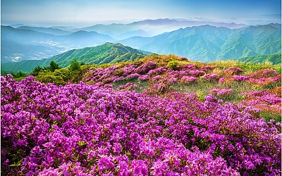 바래봉이어라~!!!