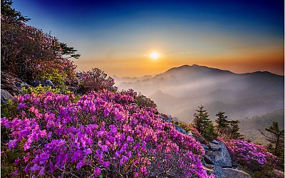 아~ 설악이여~!!!