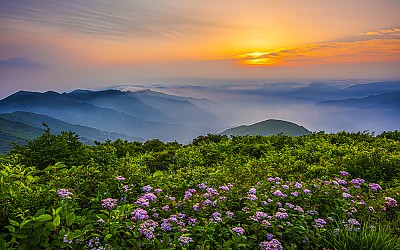 지리산