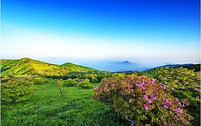 소백산이어라~!!!