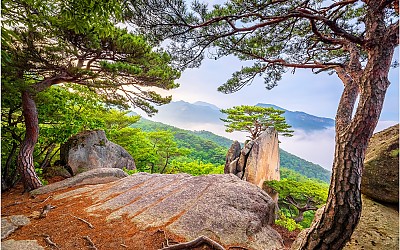 작은동산 외솔봉~!!