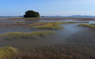 황산도갯벌1.2.