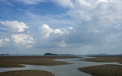 황산도갯벌