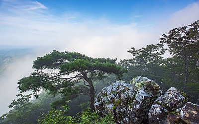 부귀산