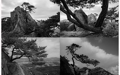 관악산1