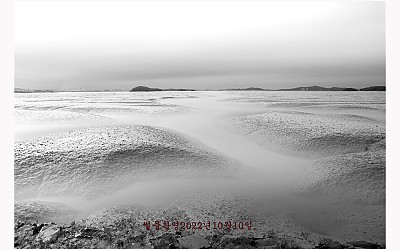 황산도6차출사