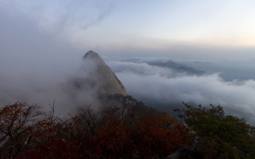 멋진하루를담다!