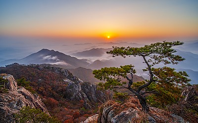 대둔산