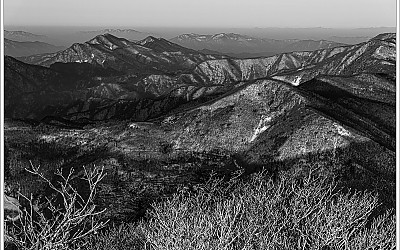 야산