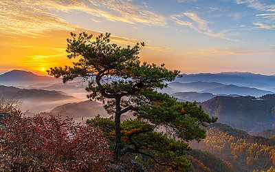 투구봉 소낭구