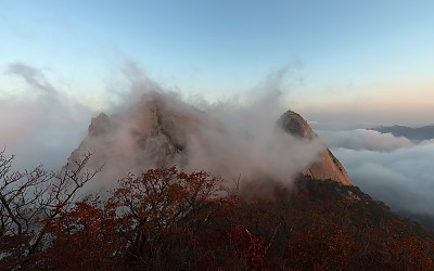 단풍&운해