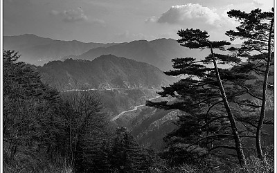 야산