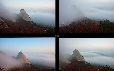 秋景