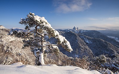 설송과 마이산