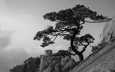 북한산에서.